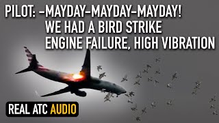 MAYDAY Engine FLAMEOUT High Vibrations after Bird Strike American Boeing 737 REAL ATC [upl. by Carter]