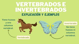 LOS ANIMALES VERTEBRADOS E INVERTEBRADOS [upl. by Renee]