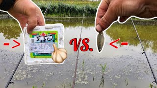 Tipps und Tricks Aal angeln im Sommer mit Köderfisch und Knoblauch Tagsüber im See S8 F15 angeln [upl. by Storfer]