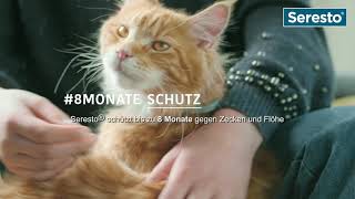 Seresto® – Halsband für Katzen [upl. by Casteel]