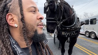 I Rode The Biggest Horse In The World  FullTime YouTuber VLOG  Jus Cheer Parade [upl. by Ardien]