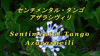 quotセンチメンタル・タンゴquot アザラシヴィリ quotSentimental Tangoquot Azarashvili [upl. by Silver]