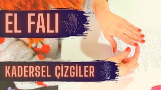 ✋EL FALI NASIL BAKILIR Kadersel çizgiler ve anlamları [upl. by Anirahtak573]