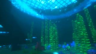 Minecraft Aquarium  Seus Ptgi HRR 3  hardtop vanillaccurate 128x [upl. by Esaele]