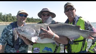 MS Outdoors S34 E07  Charlie Capps WMA Duck Hunt Blue Catfish on the Mississippi River [upl. by Aita]