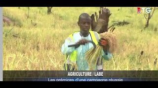 LABE  AGRICULTURE RTG GUINEE 224 [upl. by Kinghorn329]