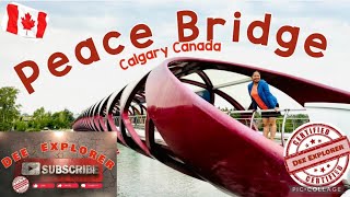 PEACE BRIDGE CALGARY ALBERTA [upl. by Aittam353]