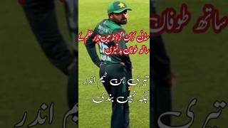 Sydney Crowd Abused Babar Azam on Dropping Simple Catch shorts pakvsaus babarazam sydneycrowd [upl. by Groos]