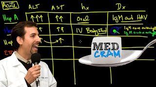 Liver Diseases Explained Clearly Acute vs Chronic Hepatic Diseases [upl. by Lafleur]