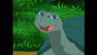 Go Diego Go  Save the Tortoises [upl. by Valida]