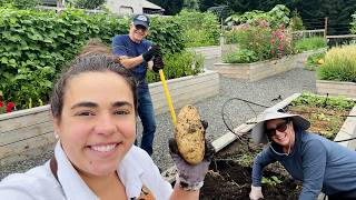 One of Our Favorite Days of the YEAR Potato Harvest [upl. by Acira658]