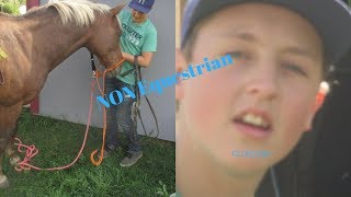 Most Hilarious NonEquestrian Tacks up My Horse Video My Cousin is CLUELESS [upl. by Ahsienak806]