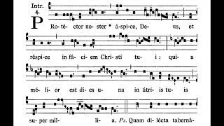 14th Sunday after Pentecost INTROIT Protéctor noster solfeggio [upl. by Kotto]