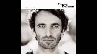 Vincent Delerm  Il Fait Si Beau [upl. by Shatzer]