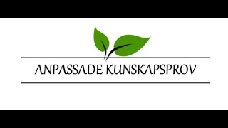 ANPASSADE KUNSKAPSPROV Förlängd tid muntligt teoriprov  Lektion 15 [upl. by Ailime]