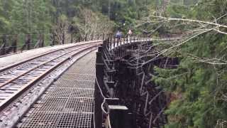 Oregon Coast Range Hikes Wolf Creek Bridge Salmonberry River [upl. by Anomahs]