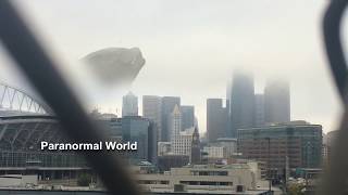 Real Godzilla Caught On Camera [upl. by Sommers]