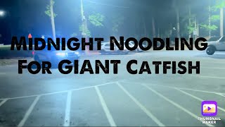 Midnight Noodling For GIANT Catfish amp The Cops Showed Up [upl. by Disharoon]