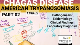 American Trypanosomiasis  pathogenesis  epidemiology  Clinical Finding  Laboratory Diagnosis [upl. by Bakki]