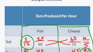 Comparative Advantage  Input amp Output Methods [upl. by Ahsyekat]