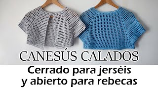 CANESÚS DE CROCHET CALADOS TOP DOWN SIN COSTURAS CERRADO PARA CAMISETAS Y ABIERTO PARA REBECAS [upl. by Schrick]