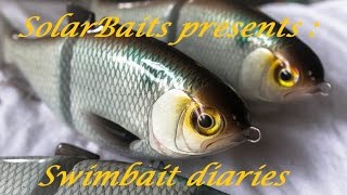 swimbait chronicles how I made a gizzard shad glide bait [upl. by Eittod535]