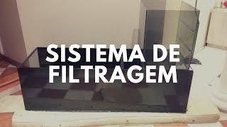 Sistema de filtragem do meu aquário de arraias  Aquarismo Brasil Arraias [upl. by Joseph]