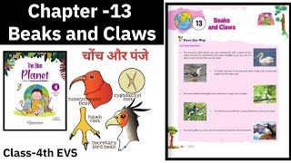 Le 13 Beaks and Claws Class 4th EVS book Analysis amp solution by Preeti Learning Hub [upl. by Mixam423]