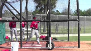 St Louis CardinalsSpring Training Workout 2013 [upl. by Liederman]