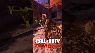 WEIRDEST EASTER EGG IN CALL OF DUTY ZOMBIES HISTORY [upl. by Fahy]