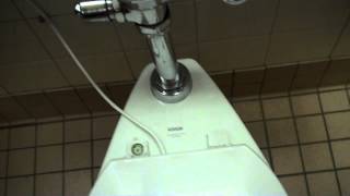 Kohler Toilet at Walmart [upl. by Ik911]