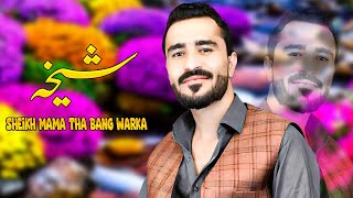 Sheikh Mama Tha Bang Warka  Nosherwan Ashna  Pashto Songs 2023  Hd video Songs  نوشیروان آشنا [upl. by Neellok610]