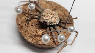 혼획된 아기 대게를 박제로 재탄생 시켜보자 Making baby snowcrab taxidermy [upl. by Kered]