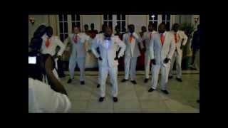 Wedding Party Reception Dance [upl. by O'Donoghue]