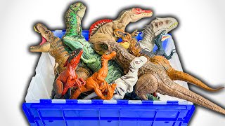 DINO Classifications  Amazing Dinosaurs [upl. by Gregoire777]