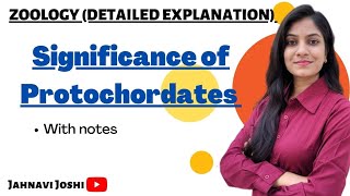 Significance of Protochordates Notes Bsc 2nd year Zoology [upl. by Mccafferty135]