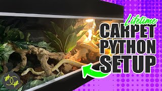 How to Setup an Adult Snake Enclosure  Cookies Critters  2021 [upl. by Devol]