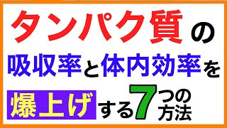 タンパク質の吸収率と体内効率をアップする７つの方法【栄養チャンネル・分子栄養学入門】タンパク質吸収効率 [upl. by Nilknarf170]