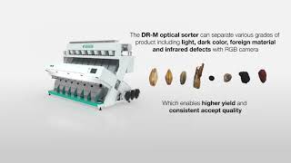 DRM wheat optical sorter – designed to boost your yield [upl. by Gibson834]