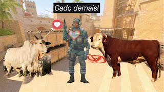 Nunca vi dois players tão gado  Counter Strike 2  Gameplay Mirage  ft Junior e João [upl. by Mady]