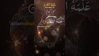 SurahArRahman  beautiful recitation Quran majeed  heart touching Aayat arrahman love shorts [upl. by Ymeraj144]