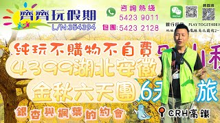 4399湖北安徽金秋六天團純玩不購物不自費 🍁來一場銀杏與楓葉的約會🍁 明堂山大別山天堂寨入門級行山團 中國最美田園風光聖人堂 香港旅行團旅行行山田園安徽湖北銀杏楓葉秋中国 [upl. by Grogan]