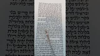 קריאת התורה מפטיר שבת ראש חודש אפרים החזן  Torah Reading Maftir Shabbat Rosh Hodesh Efraim Hachazan [upl. by Renrew140]