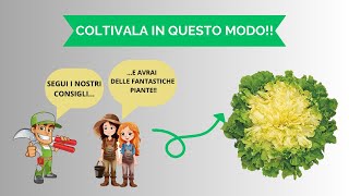 ORTAGGIO dalle FOGLIE di un VERDE INCREDIBILE 🥬 [upl. by Gerardo]