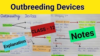 Outbreeding devices  Outbreeding devices in flowering plants  Outbreeding devices class 12 ncert [upl. by Nnhoj]