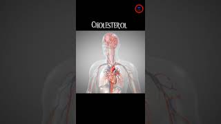 Cholesterol blood test What do the numbers mean Your lipid panel results explained [upl. by Yerahcaz197]