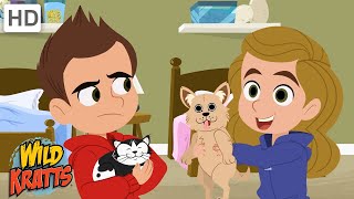 Are You a Cat Person or a Dog Person  Wild Kratts [upl. by Kwasi]