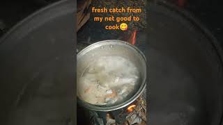 tinolang isda na lawayanfishing vlog food cooking fish youtubeshorts youtubevideo [upl. by Euginom]