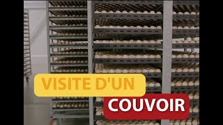 Visite dun couvoir [upl. by Eerdna]