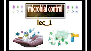 شرح بالعربي quotmicrobial control methods lec1quot [upl. by Nwotna]